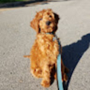 Meet your Posher, Addie